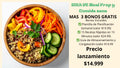 Ebook Meal Prep comida sana +3 bonos